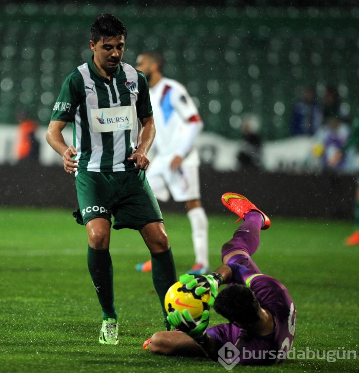 Timsah düelloyu kazanamadı!