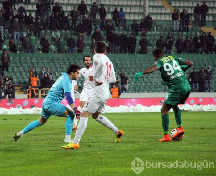 Timsah'ın yeni yılda neşesi yok!
