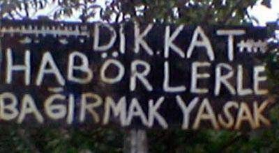Yurdum İnsanı İş Başında
