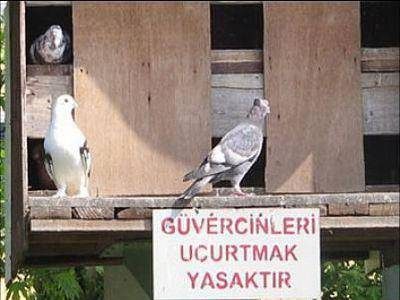 Yurdum İnsanı İş Başında
