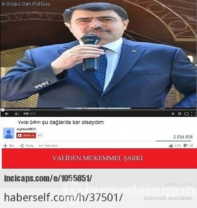 Sosyal medyanın yeni fenomeni Vali Şanin