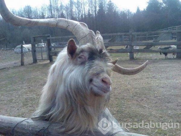 Garip ama fotojenik...