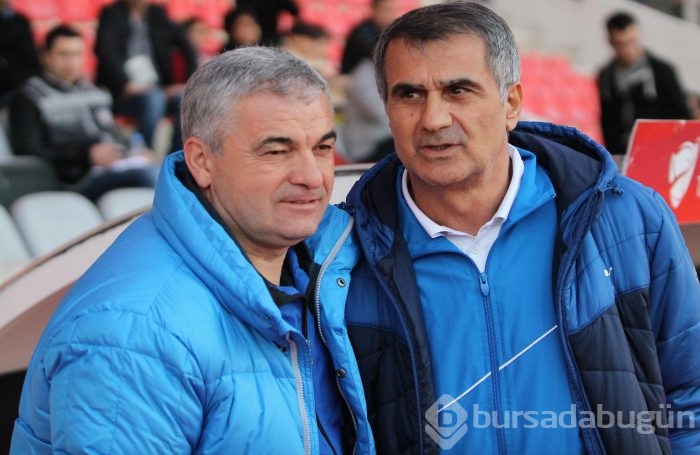 Bakambu coştu! Timsah zirveye kuruldu!