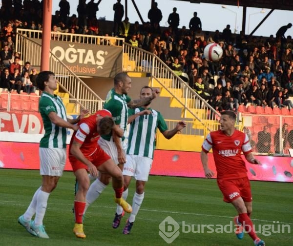 Bakambu coştu! Timsah zirveye kuruldu!
