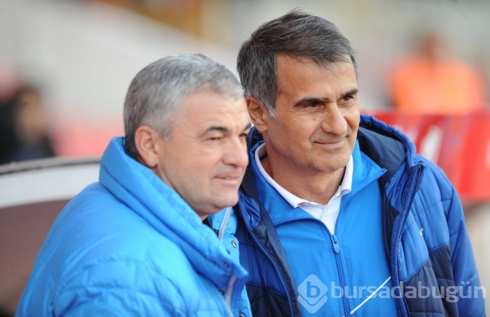 Bakambu coştu! Timsah zirveye kuruldu!