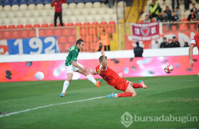 Bakambu coştu! Timsah zirveye kuruldu!