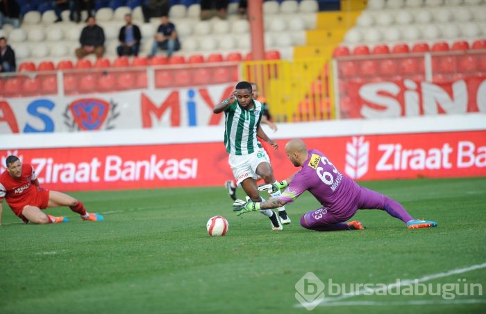 Bakambu coştu! Timsah zirveye kuruldu!