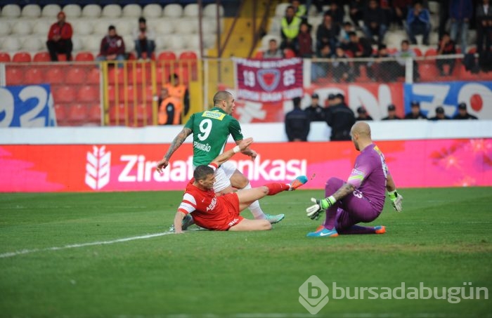 Bakambu coştu! Timsah zirveye kuruldu!