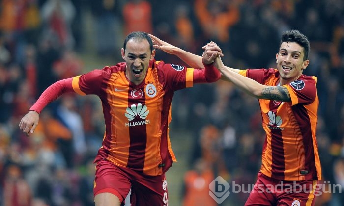 Timsah İstanbul'da fırsat tepti!