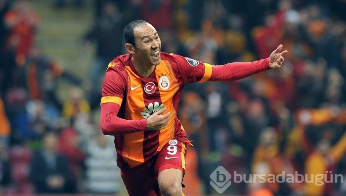 Timsah İstanbul'da fırsat tepti!