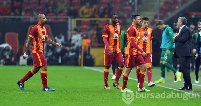Timsah İstanbul'da fırsat tepti!