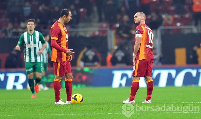 Timsah İstanbul'da fırsat tepti!