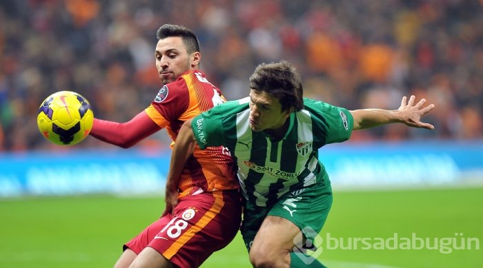 Timsah İstanbul'da fırsat tepti!
