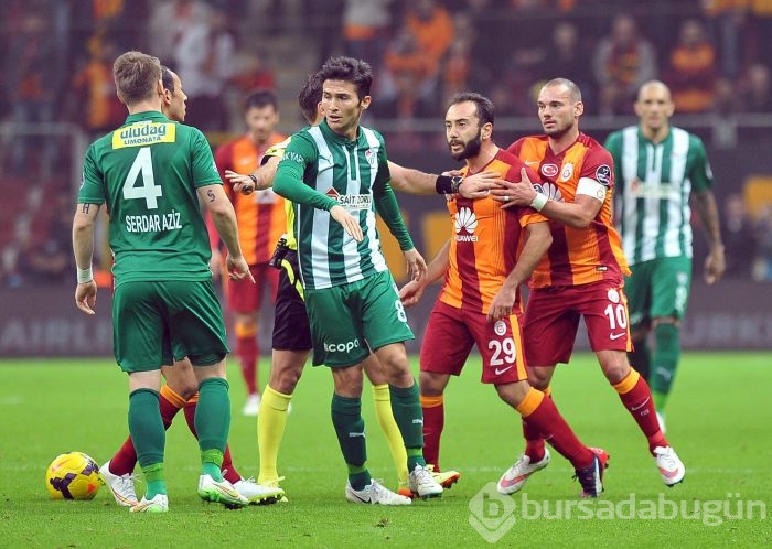 Timsah İstanbul'da fırsat tepti!