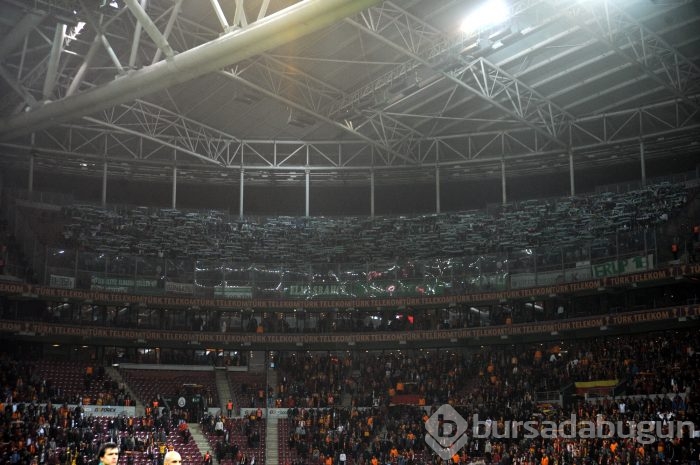 Timsah İstanbul'da fırsat tepti!