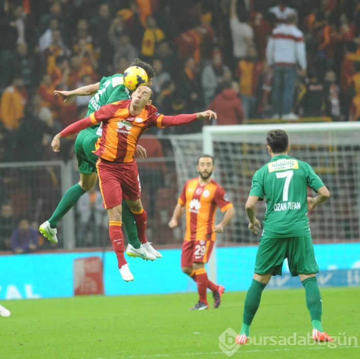 Timsah İstanbul'da fırsat tepti!