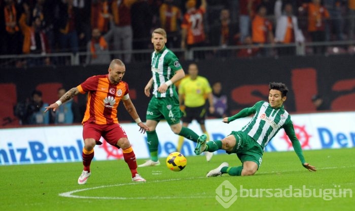 Timsah İstanbul'da fırsat tepti!