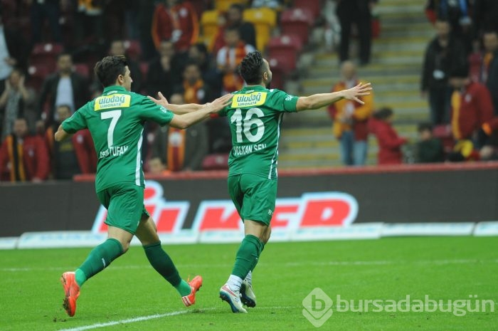 Timsah İstanbul'da fırsat tepti!