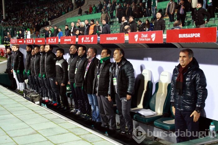 Timsah turu Ankara'ya bıraktı!