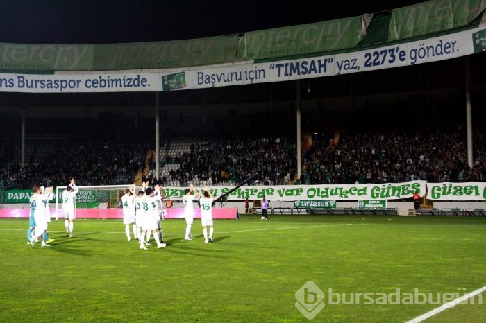 Timsah turu Ankara'ya bıraktı!
