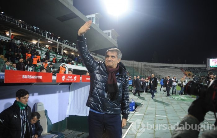 Timsah turu Ankara'ya bıraktı!