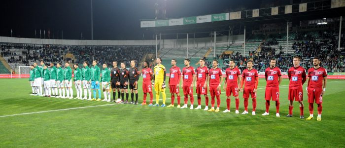Timsah turu Ankara'ya bıraktı!