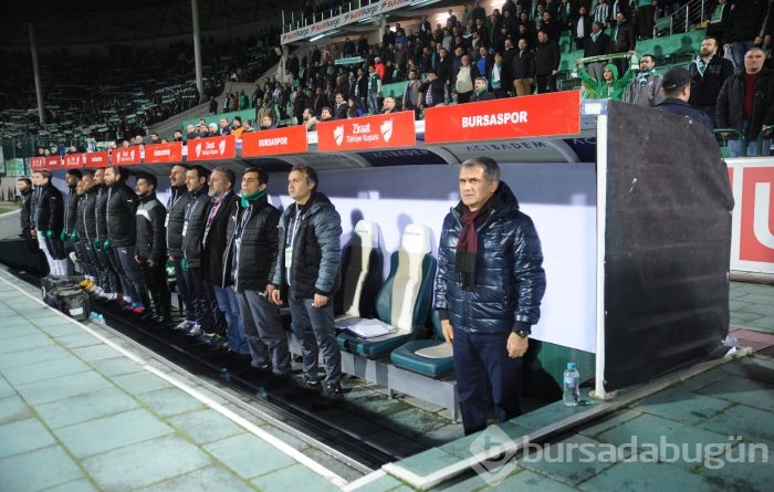 Timsah turu Ankara'ya bıraktı!