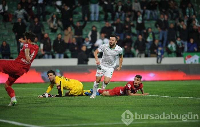Timsah turu Ankara'ya bıraktı!