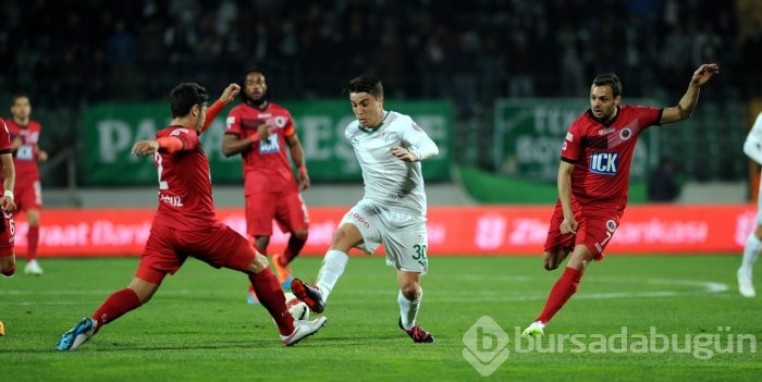 Timsah turu Ankara'ya bıraktı!