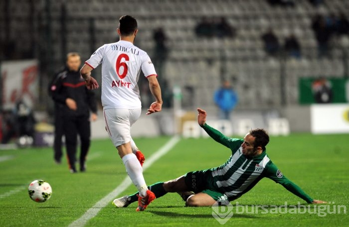 Timsah Balıkesir'e acımadı!