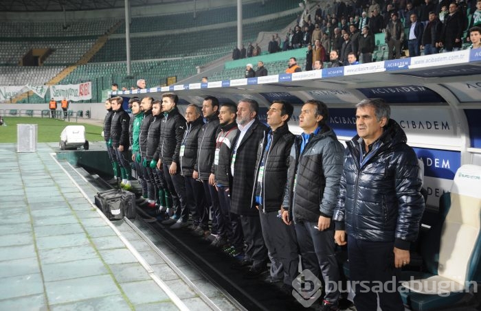 Timsah Balıkesir'e acımadı!