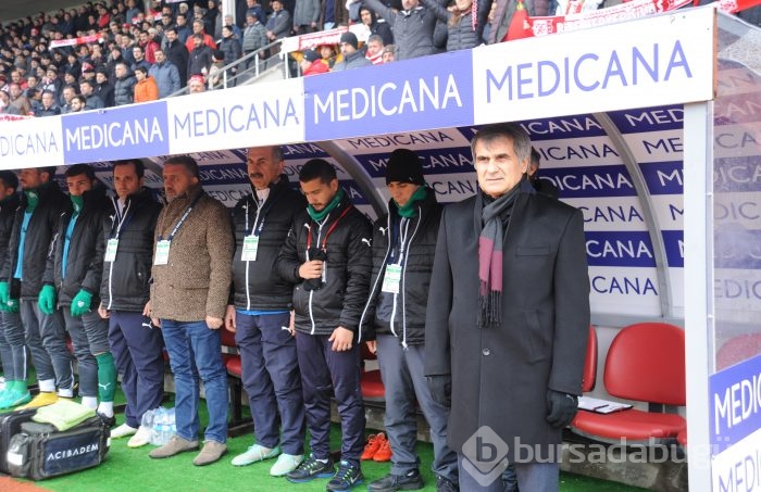 Timsah Sivas'ta buz kesti!