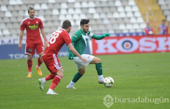 Timsah Sivas'ta buz kesti!