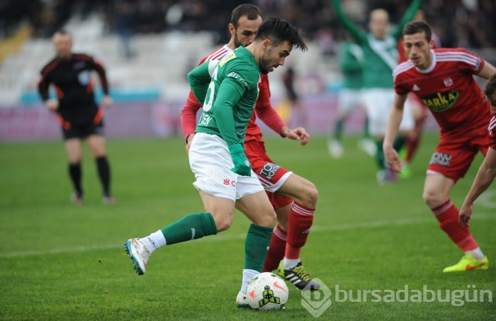 Timsah Sivas'ta buz kesti!