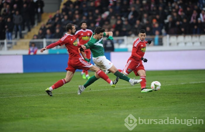Timsah Sivas'ta buz kesti!