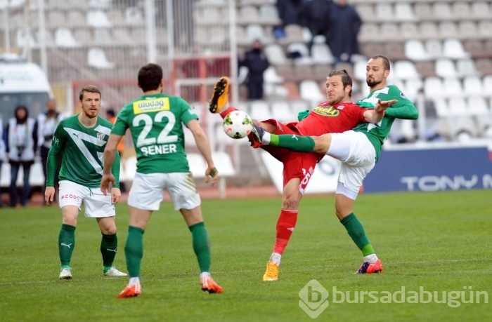 Timsah Sivas'ta buz kesti!