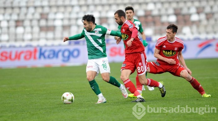 Timsah Sivas'ta buz kesti!