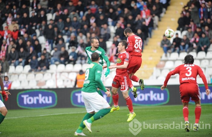 Timsah Sivas'ta buz kesti!