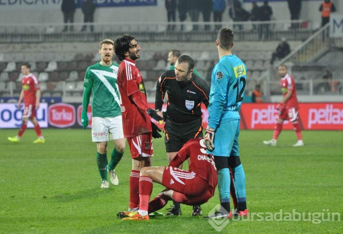 Timsah Sivas'ta buz kesti!