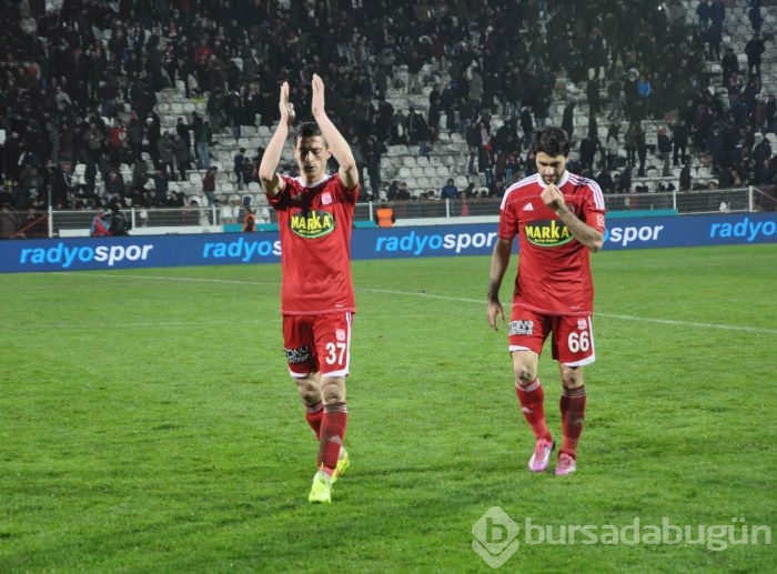 Timsah Sivas'ta buz kesti!