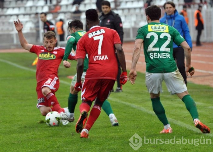 Timsah Sivas'ta buz kesti!
