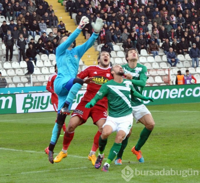 Timsah Sivas'ta buz kesti!