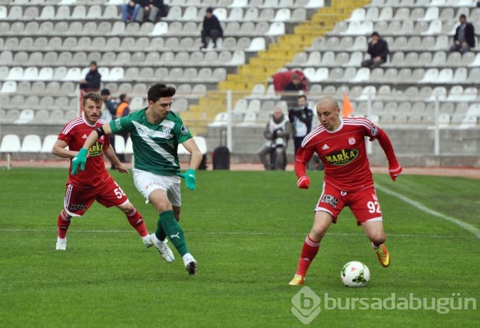Timsah Sivas'ta buz kesti!