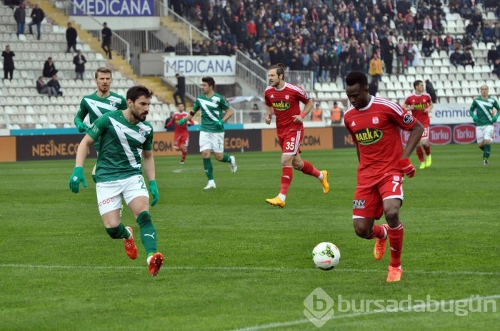 Timsah Sivas'ta buz kesti!