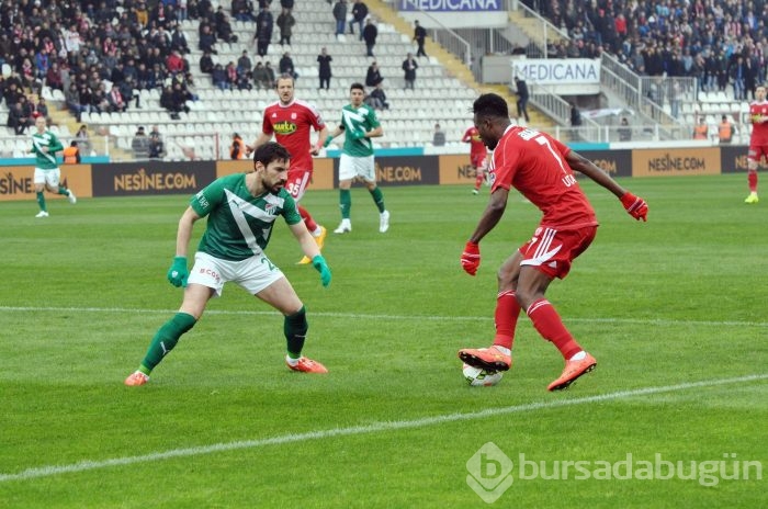 Timsah Sivas'ta buz kesti!