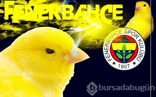 Her simge bir hikaye!