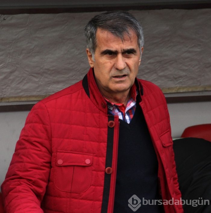 Timsah Ankara'da yarı final biletini kaptı!