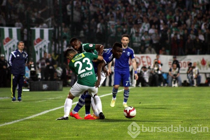 Timsah kupada fırsat tepti!