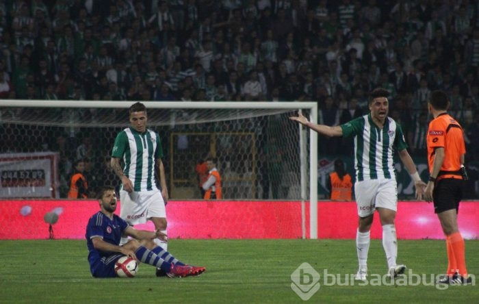 Timsah kupada fırsat tepti!