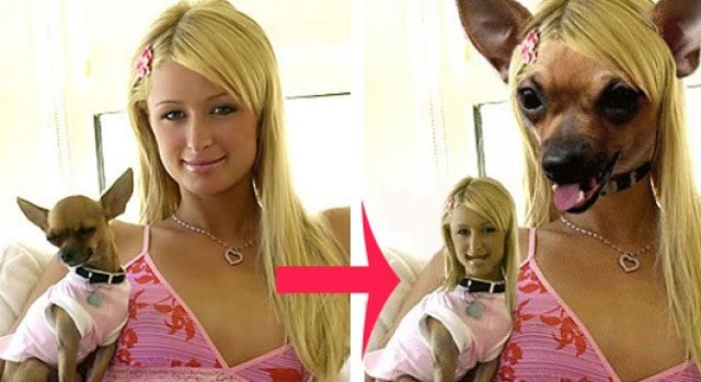 Ünlülerin yok etmek isteyeceği fotoğrafları
